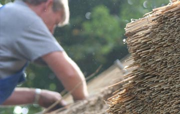 professional Colintraive thatchers